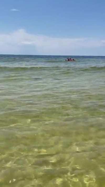 🔥 Devil Rays I saw at the Beach in Florida 🔥