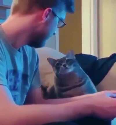 Kitty absolutely adores their human