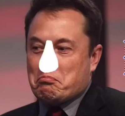 teslon musk