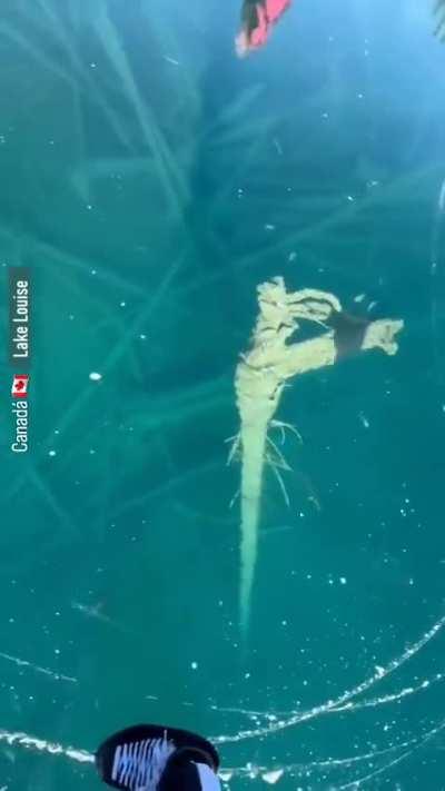 Frozen lake in Canada, where you can see everything in it