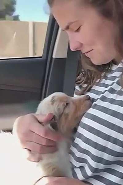 This pup relaxing in her arms