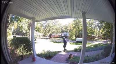 NOT OC! This delivery person backflipping, after delivery.