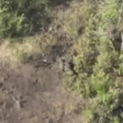 A russian soldier was hit and wounded by a FPV strike drone. The soldier then seemed to decided to take his own life with a self inflicted gunshot. Filmed by a drone of the 