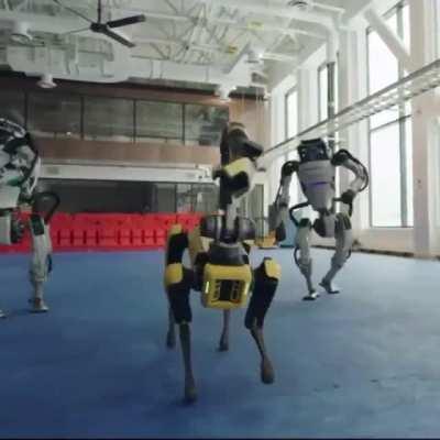 Boston Dynamics hired too many Indian software engineers who love Bollywood. This is the end result