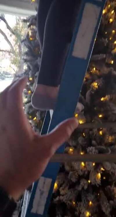 And this is why we don’t put up trees before thanksgiving, kids....
