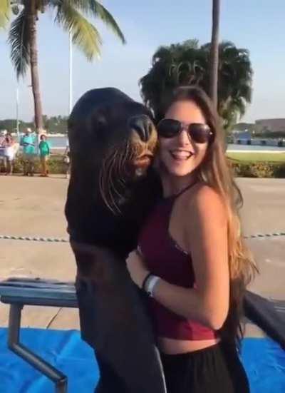 Sea Lion copying this girl