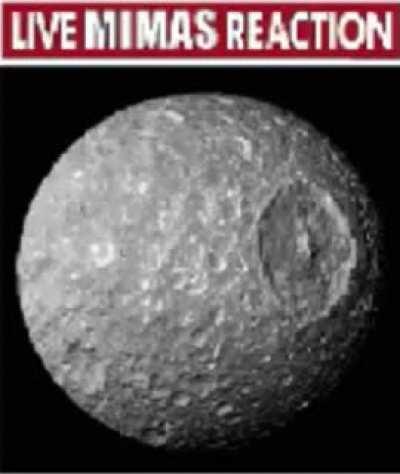 LIFE MIMAS REACTION