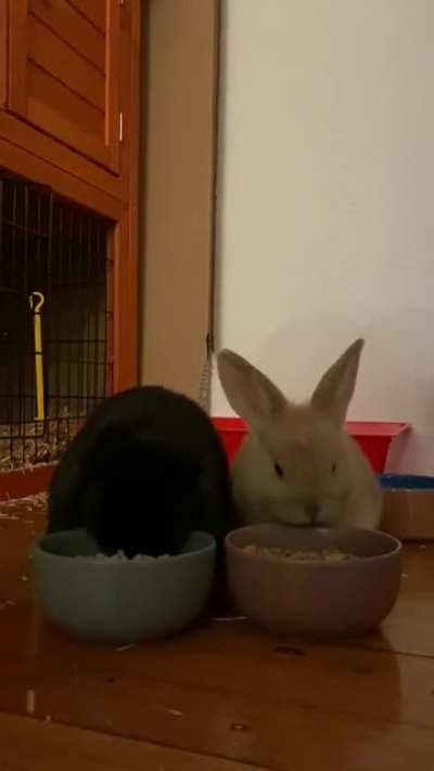 George and suki enjoying dinner together