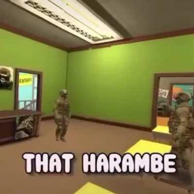 My Favorite Harambe meme, Rest In Peace