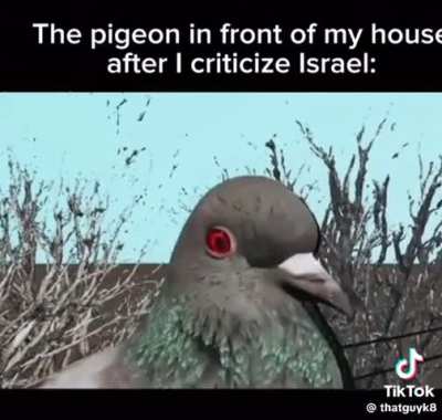 BirdsArentReal