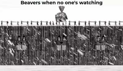 Hundreds of Beavers posting