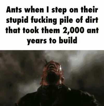 stupid cringe ants