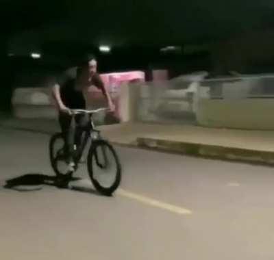 🚲