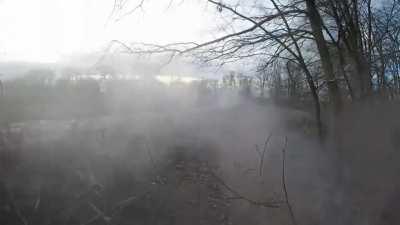 Ukranians ambush Russian armour in the woods