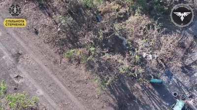 Russian Soldiers (with Mosin-Nagant Rifles) try to hide from drones behind a stash of Anti-Tank mines