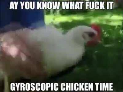 GYROSCOPIC CHICKEN TIME