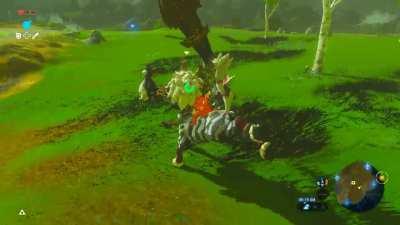 I've beaten my first ever master mode Lynel!