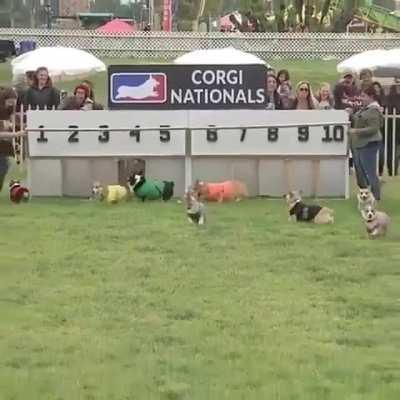 Rare footage from the highly important Nationals of Corgi racing