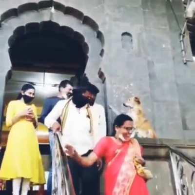 A temple in India where people receive blessings from dog after leaving temple.