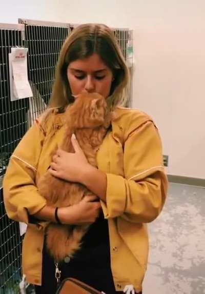 Another owner gets adopted