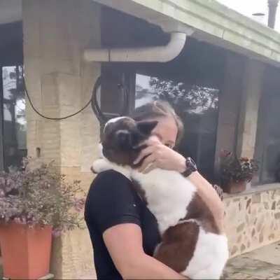 This miniature horse in Colombia enjoys cuddling.