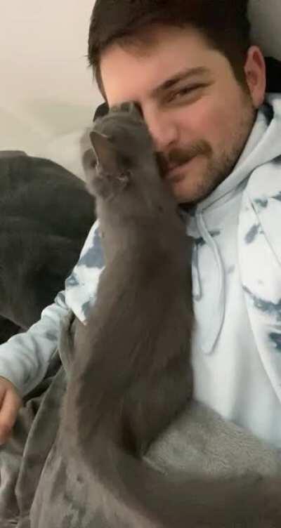 I too have an aggressively affectionate cat