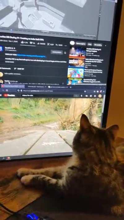 How I keep my cat distracted while I work on my game.