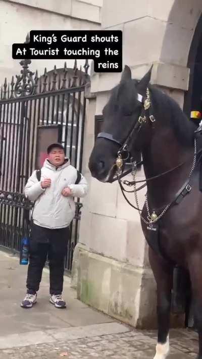 Chinese tourist was frightened when the guard yelled him to get off the rein: “Why shouting so loud?!”