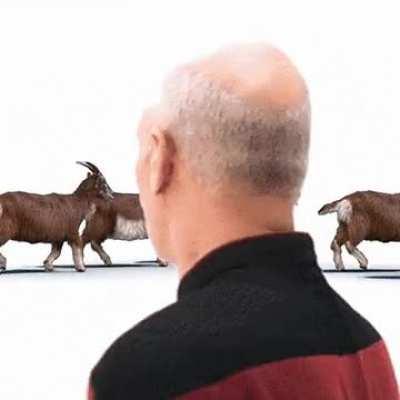 Picard looking around at goats