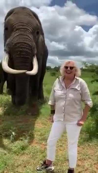 🔥 Elephant Takes off and Hides Woman's Hat in Mouth Then Returns it on Request