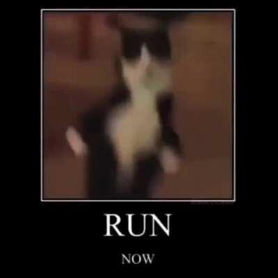 Run