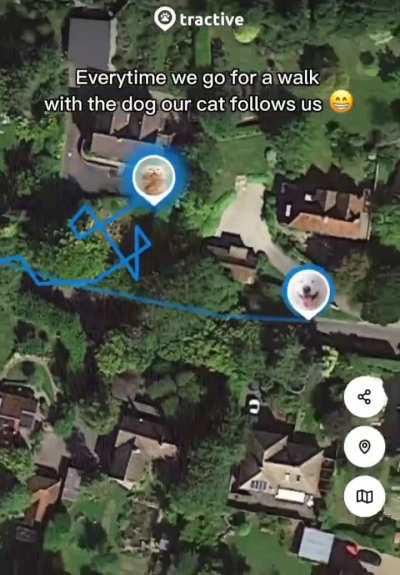 A guy installed a GPS tracker on his cat to find out his route while he was walking his dog. Surprisingly, the cat stealthily accompanied the owner or the dog throughout the walk.