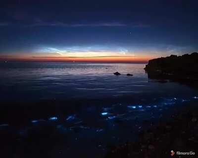 Stunning view of a bioluminescent beach