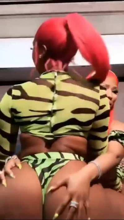 Megan Thee Stallion and Nicki Minaj