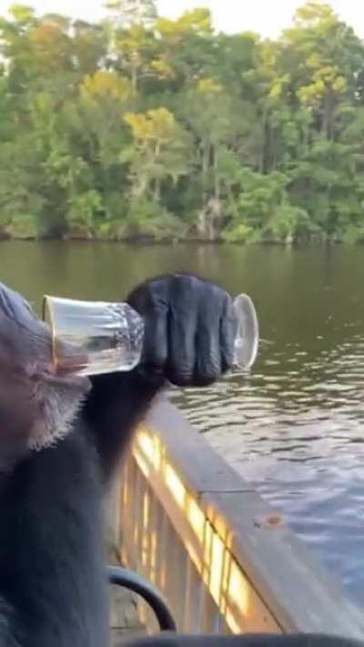 diria que es un mexicano pero el chango tiene agua en la mano