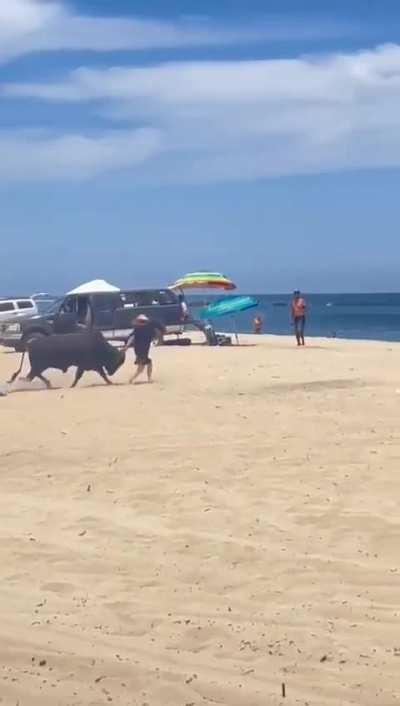 Bull attacks tourists on the beach in Mexico