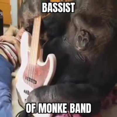 Monke🦍bass🎸