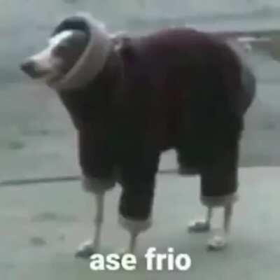 yo en invierno