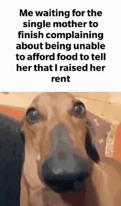 That's nice, rent is due