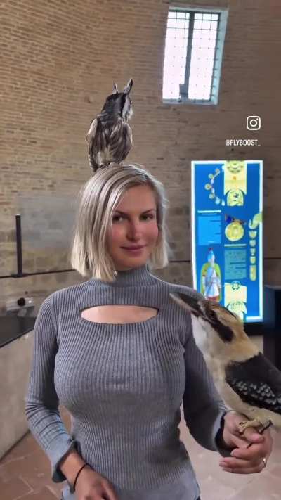 PartyParrot