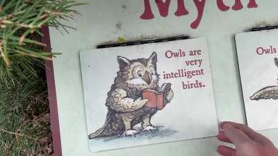 Someone doesn’t like owls