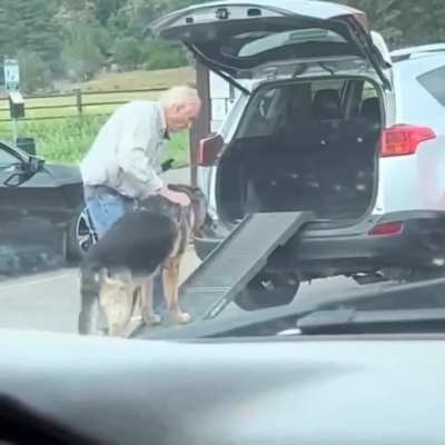 This elderly man taking care of his elderly dog