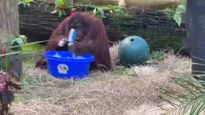 This is Sandra! After observing her caregivers cleaning objects in her living area for a while, she decided she could do it herself, and this video emerged.