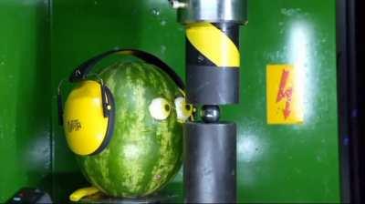 Curious watermelon stares at suspicious metal sphere.