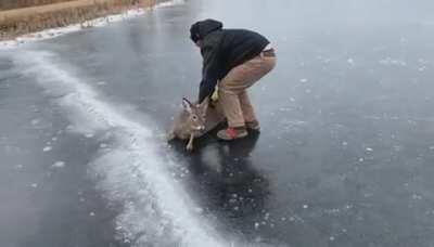 Wisconsin man helps push deer stranded on ice back to solid ground