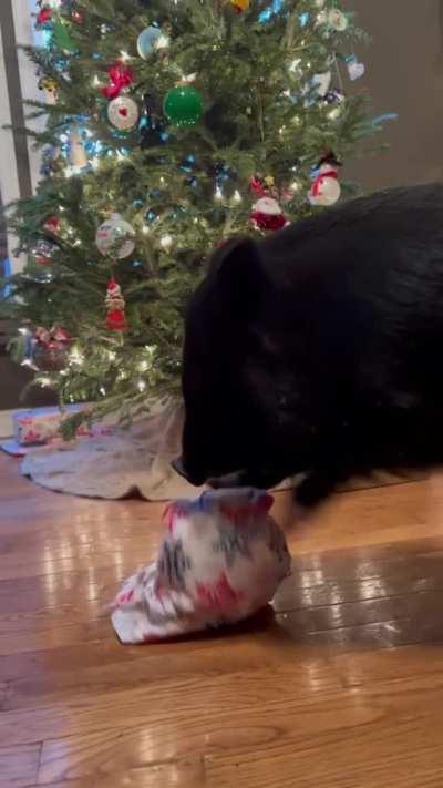 Opening gifts is difficult without thumbs