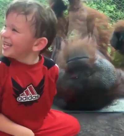 Boy and an Orangutan