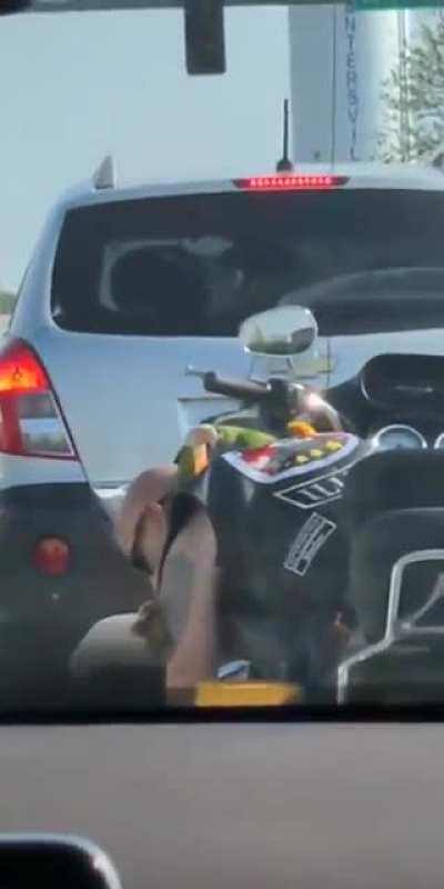 Guy rides his motorbike with his parrots