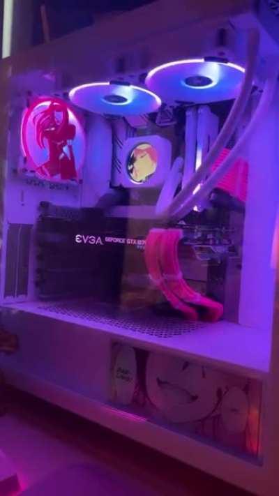 Thought this sub would appreciate my Zerotwo themed PC