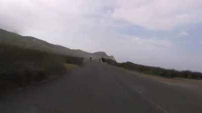 Cyclists chased by an ostrich